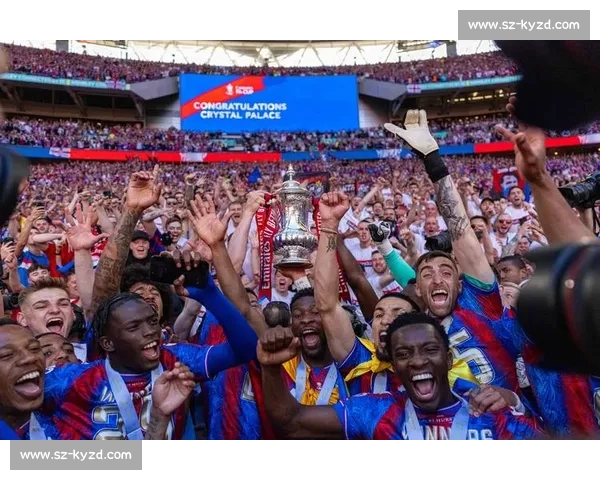 五大联赛高清直播平台推荐畅享英超西甲德甲意甲法甲精彩赛事全程