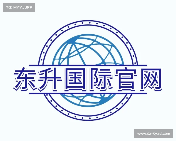 了解东升国际官网